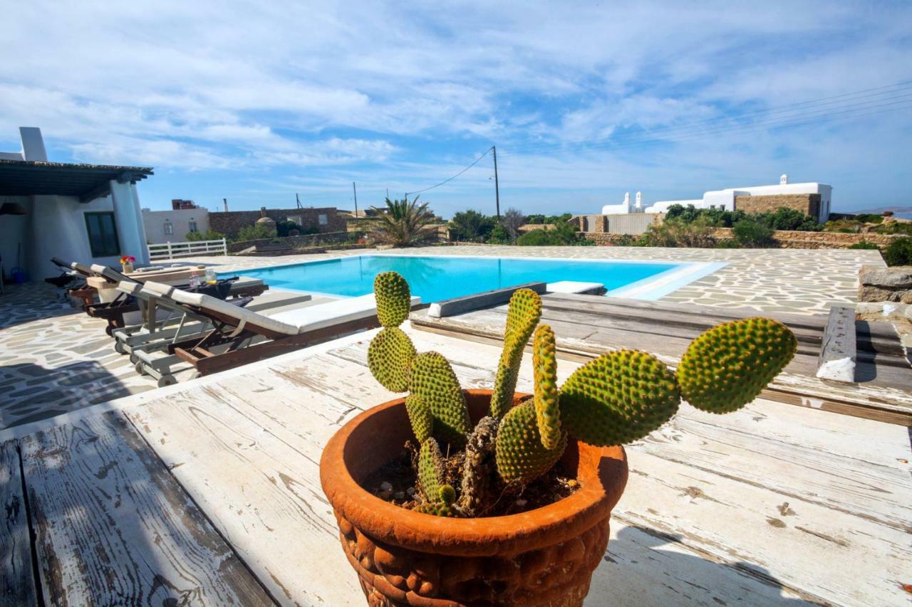 Villa Christina Mykonos Island Bagian luar foto